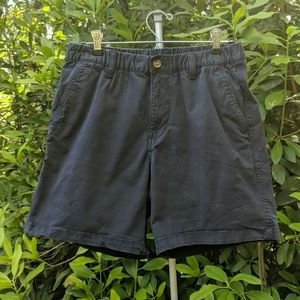 Bearbottom Stretch Shorts 